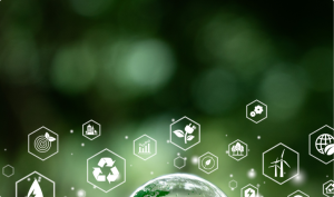 Bảo vệ môi trường